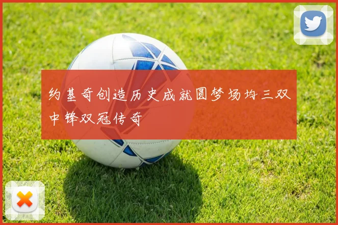 约基奇创造历史成就圆梦场均三双中锋双冠传奇