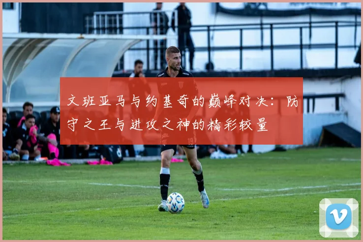 文班亚马与约基奇的巅峰对决：防守之王与进攻之神的精彩较量