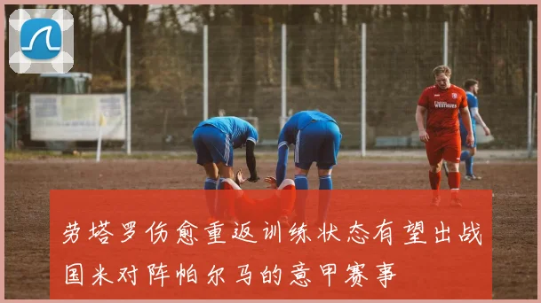 劳塔罗伤愈重返训练状态有望出战国米对阵帕尔马的意甲赛事