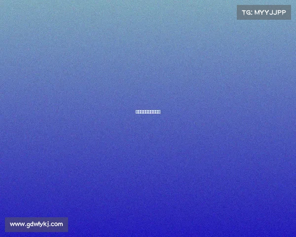 女排每年都有哪些赛事