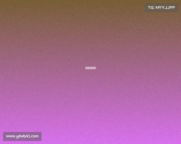 自由杯历届冠军