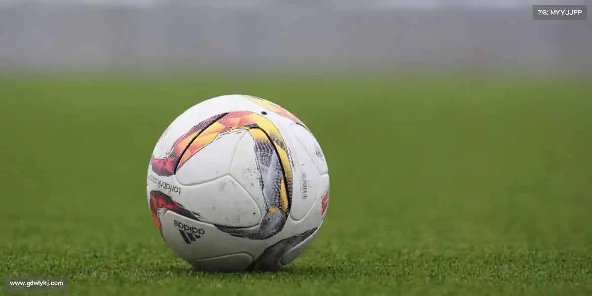 优德88——🏹🎯百步穿杨,精准致胜!